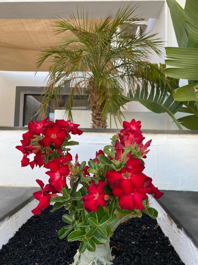 Vila Casa Delfin Playa Blanca Exteriér fotografie